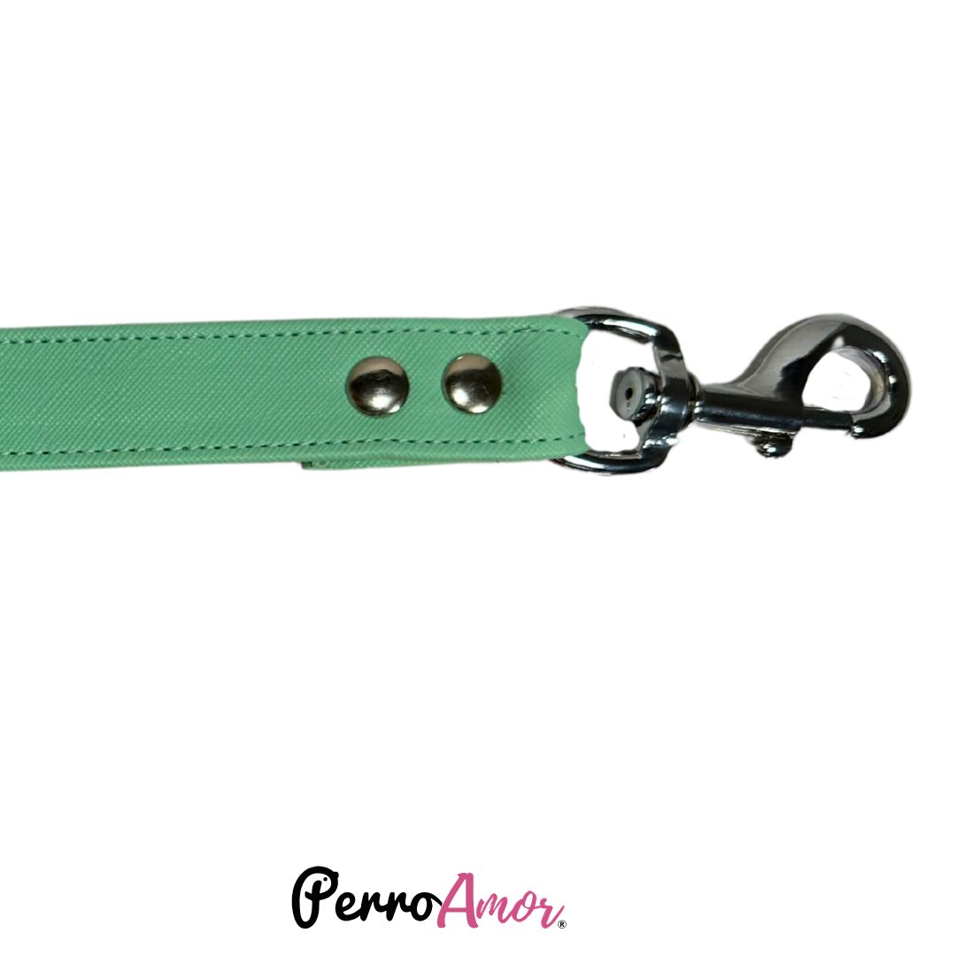 Correa Vanny Colores