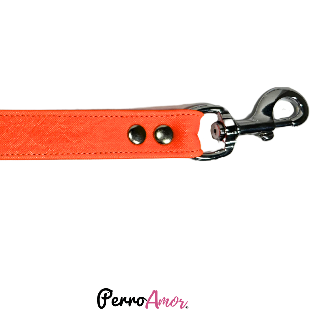Correa Vanny Colores