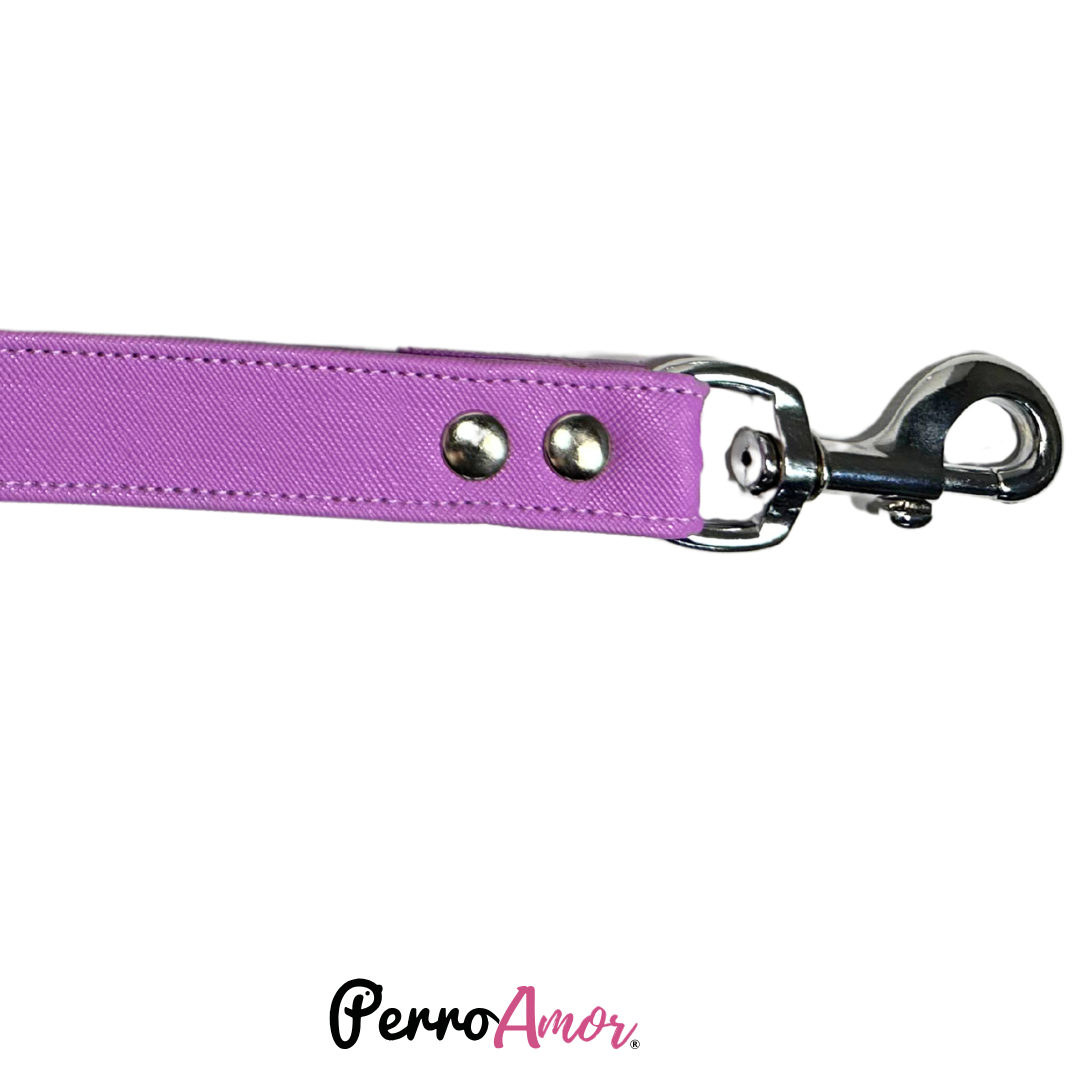 Correa Vanny Colores
