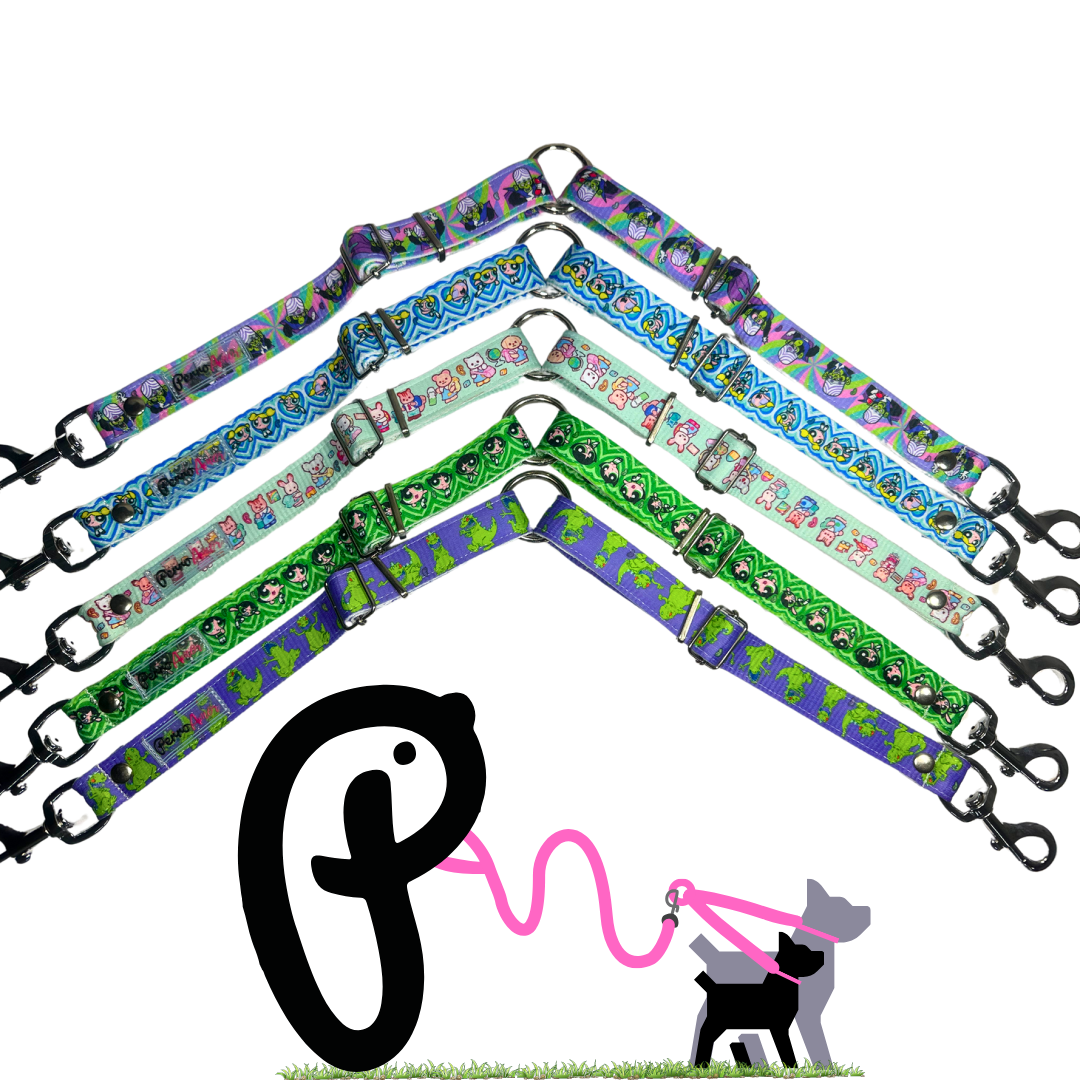 Extensión Partner Binomio