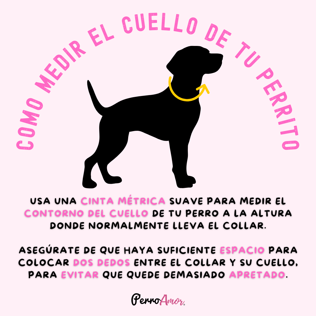 Collar Santo Remedio