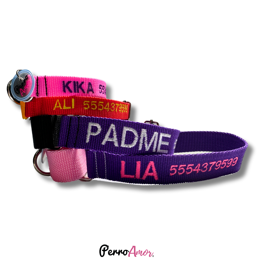 Collar Martingale Identificacion