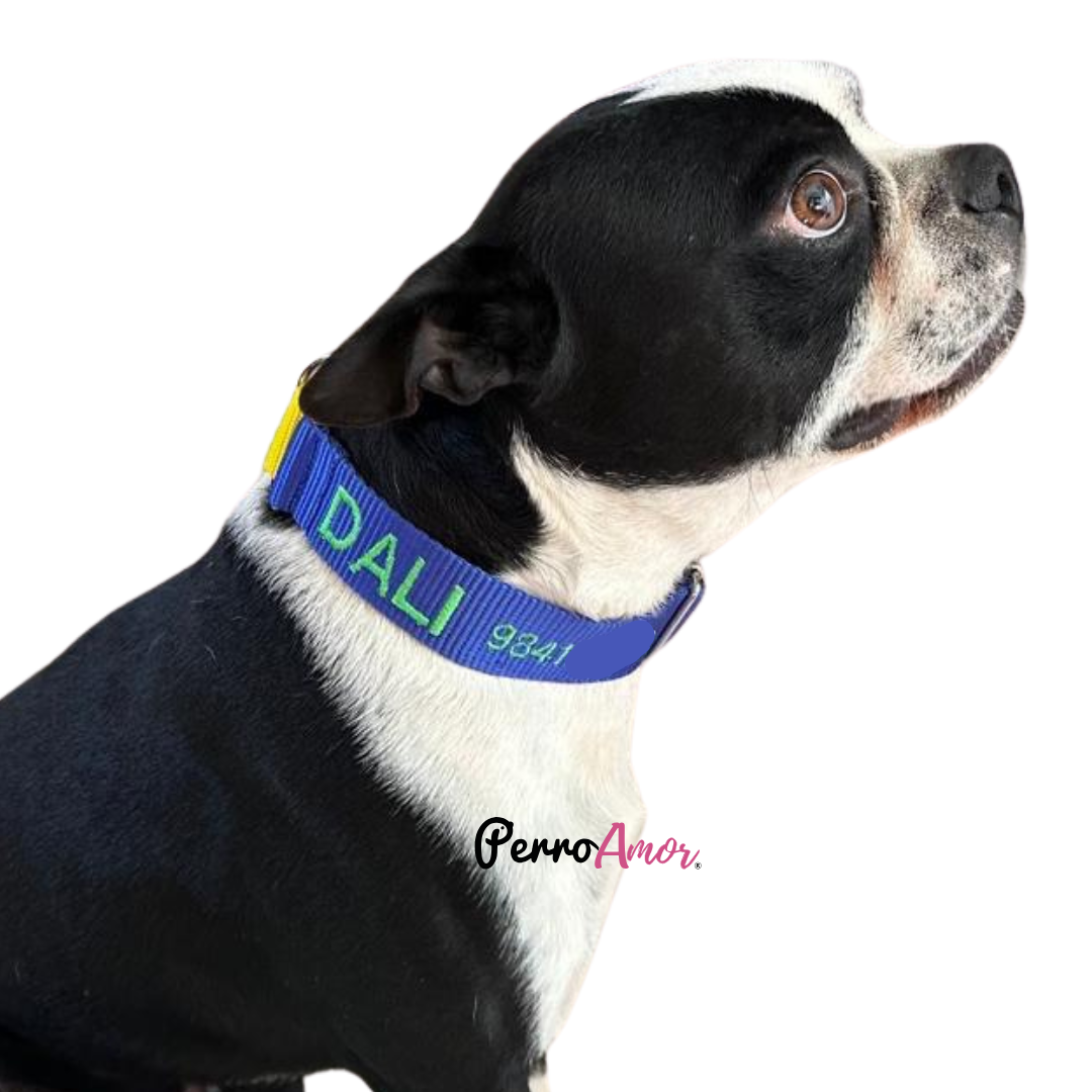 Collar Martingale Identificacion