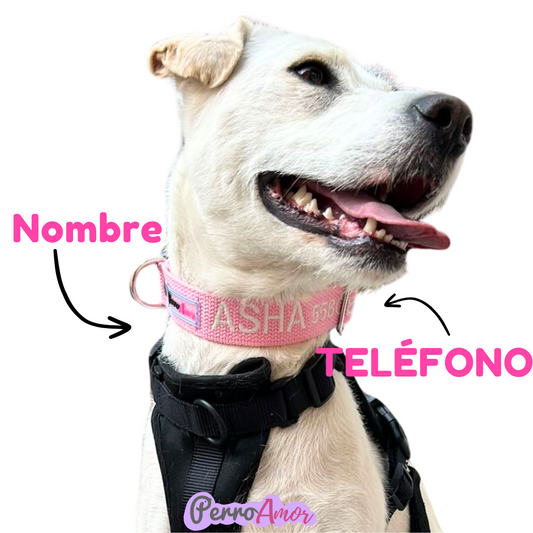 Collar Santo Remedio Colores