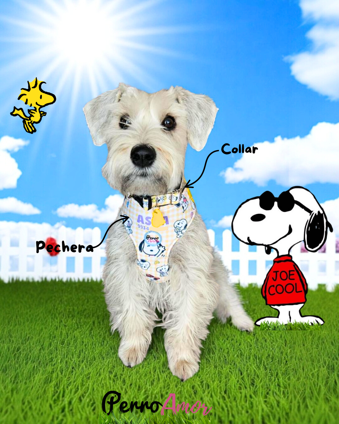 Pechera " Peanuts "