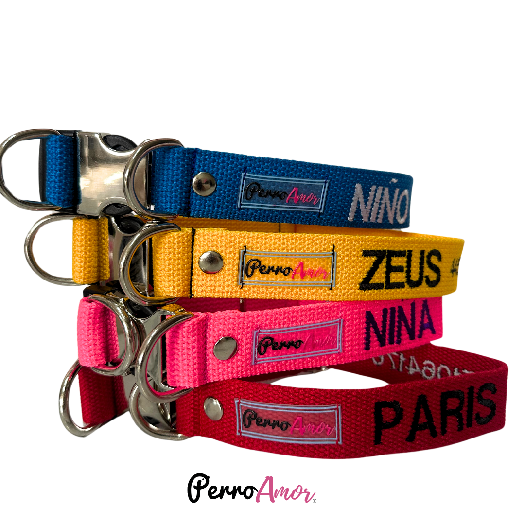 Collar Santo Remedio Hibrido