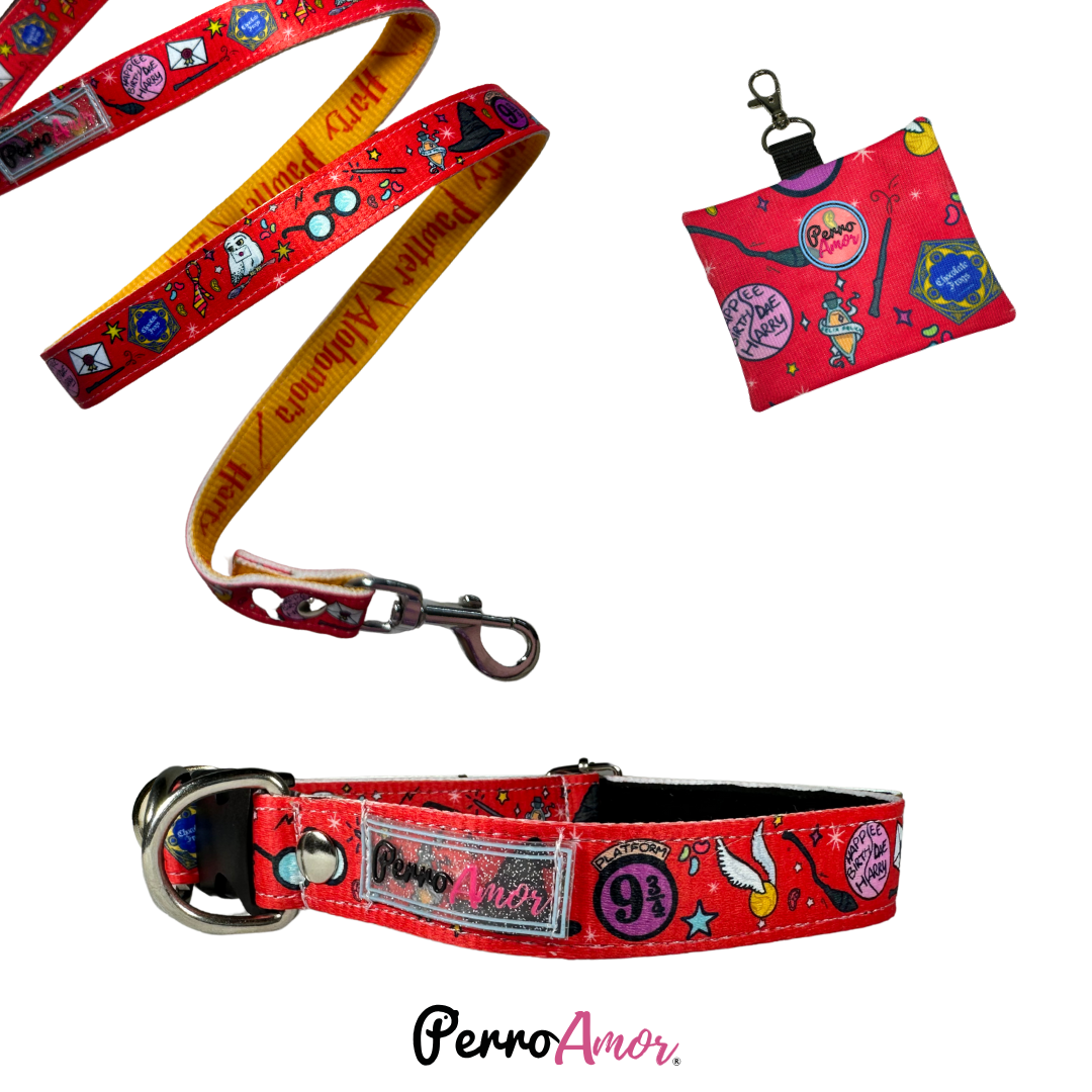 Combo Paseo " Harry Paws "