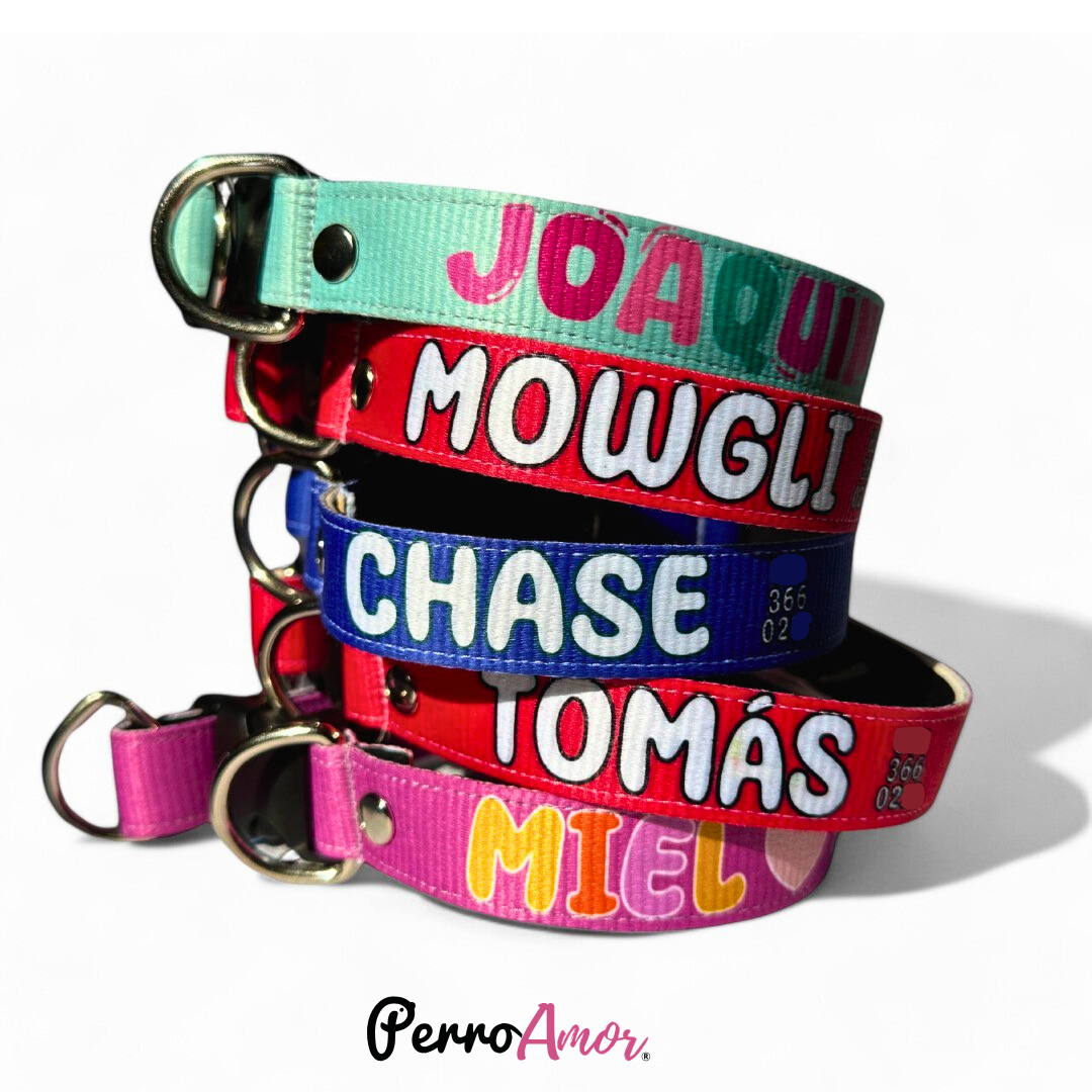 Collar ID