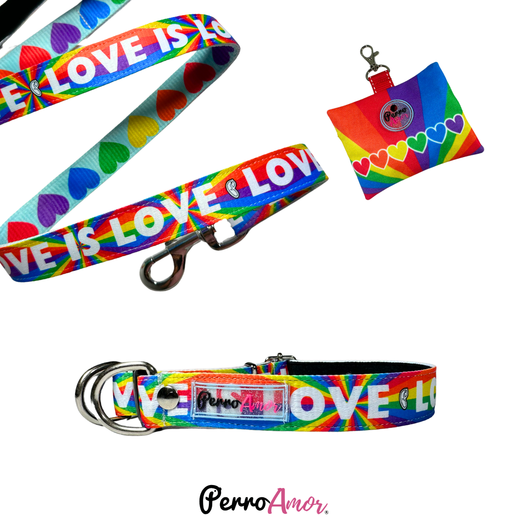 Combo Paseo " Love is love "