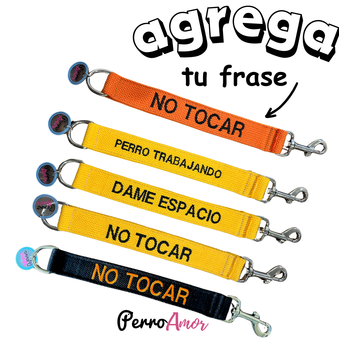 Correa Alerta