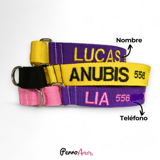 Collar Martingale Identificacion