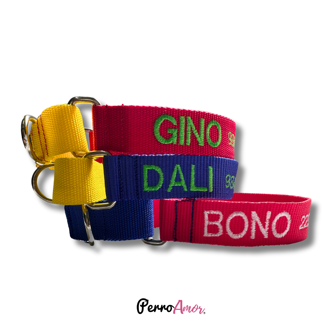 Collar Martingale Identificacion