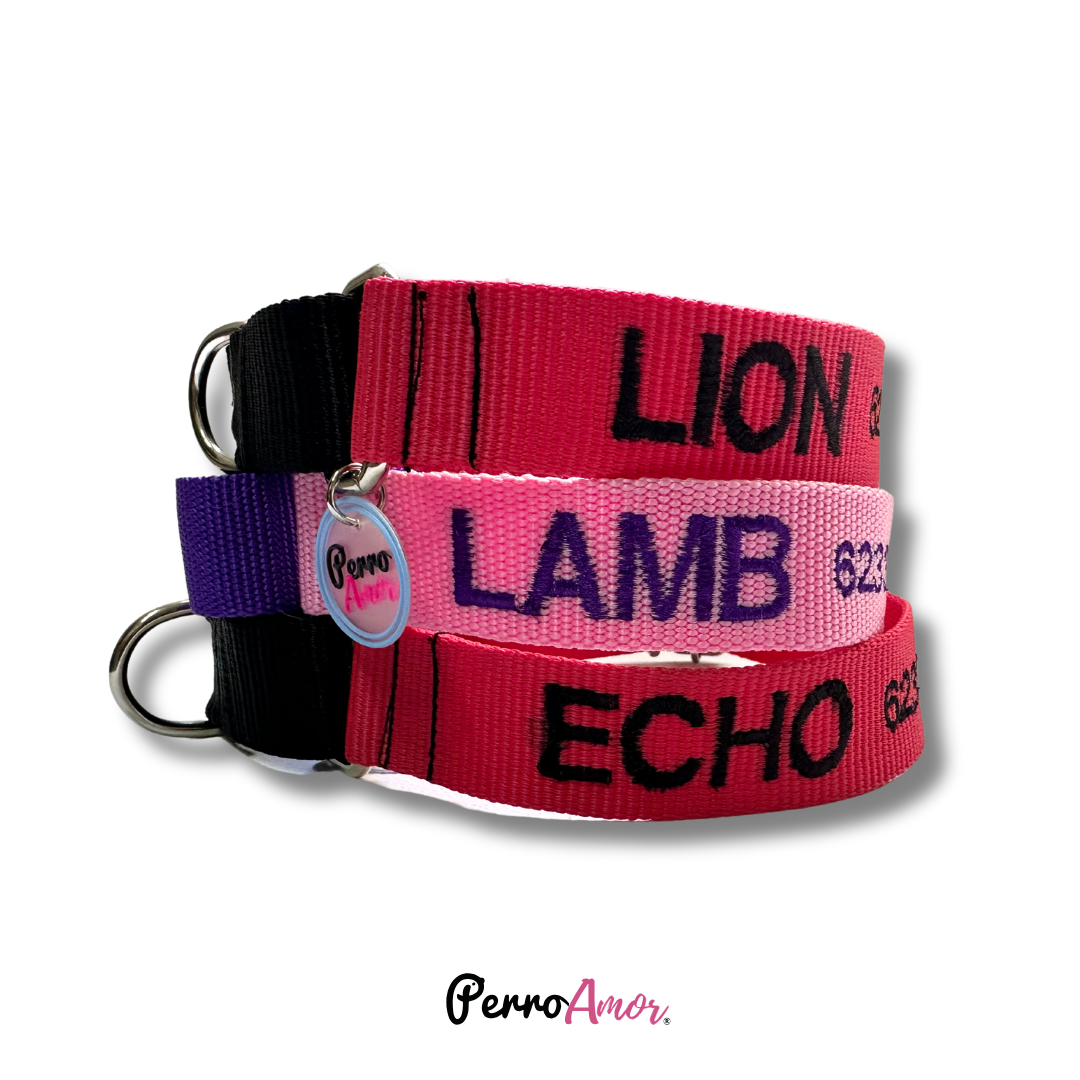 Collar Martingale Identificacion