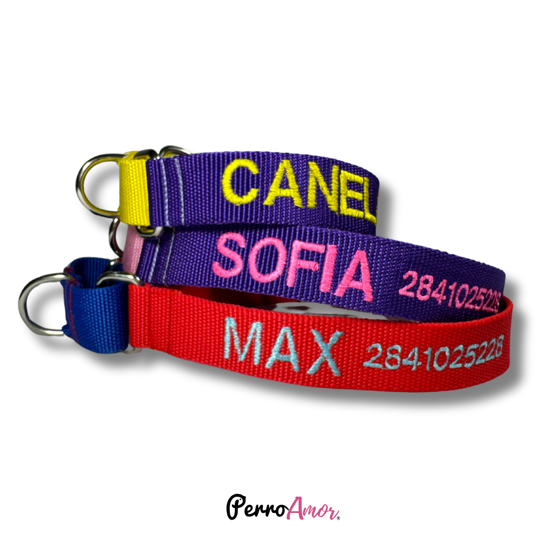 Collar Martingale Identificacion