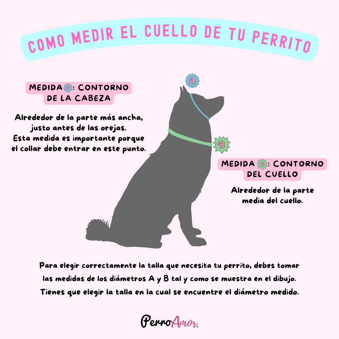 Collar Martingale Identificacion SANTA