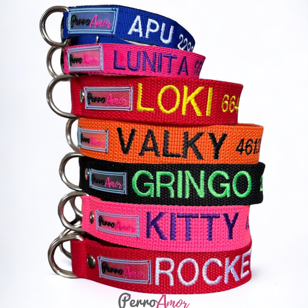 Collar Santo Remedio
