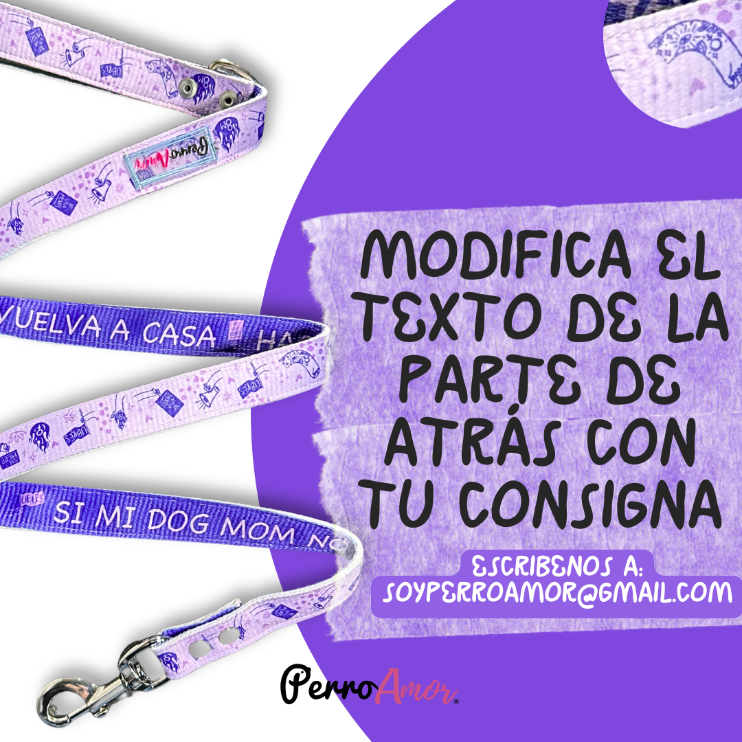 Correa Binomio " 8M "