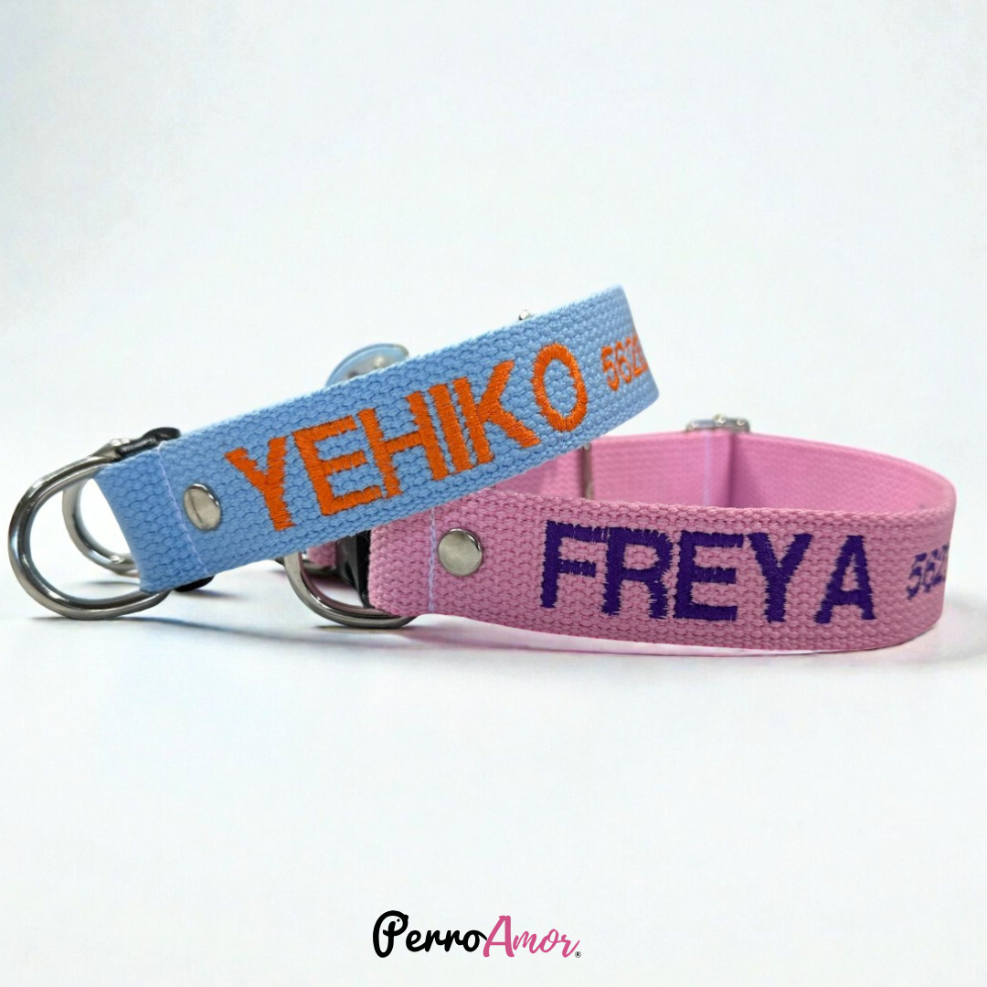 Collar Santo Remedio Colores