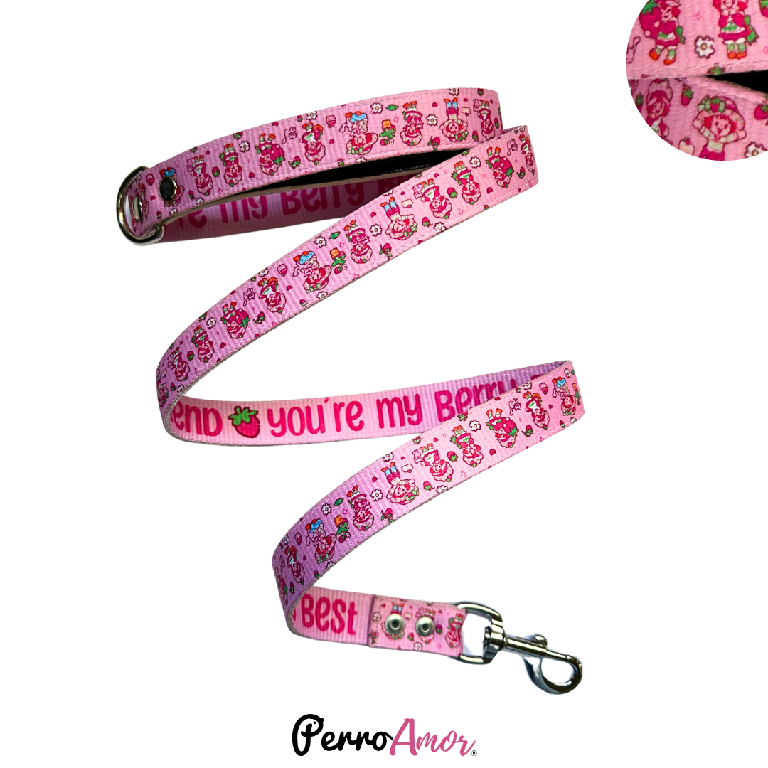 Correa Binomio " Rosita "