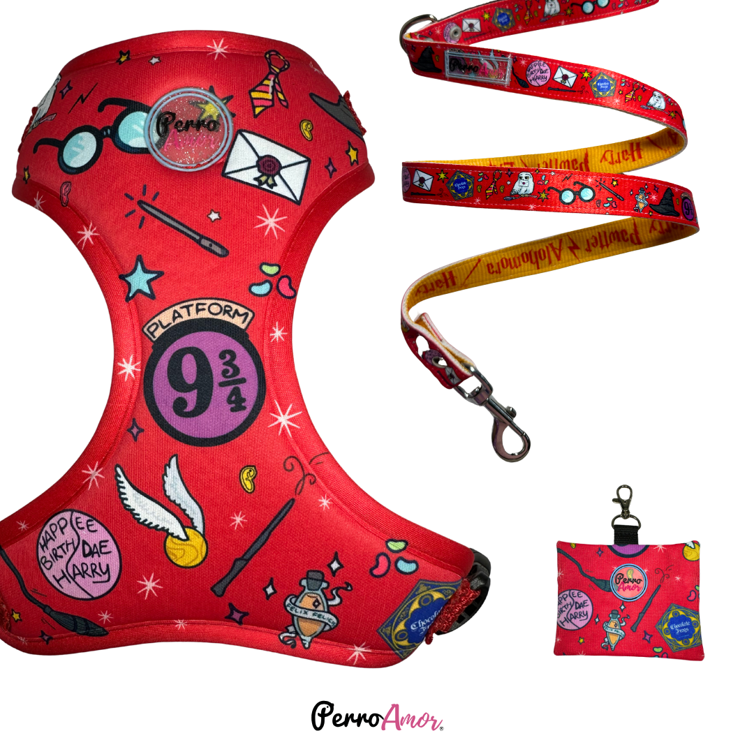 Combo Caminata " Harry Paws "