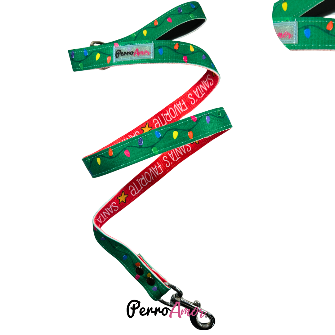 Correa Binomio " Arbol "