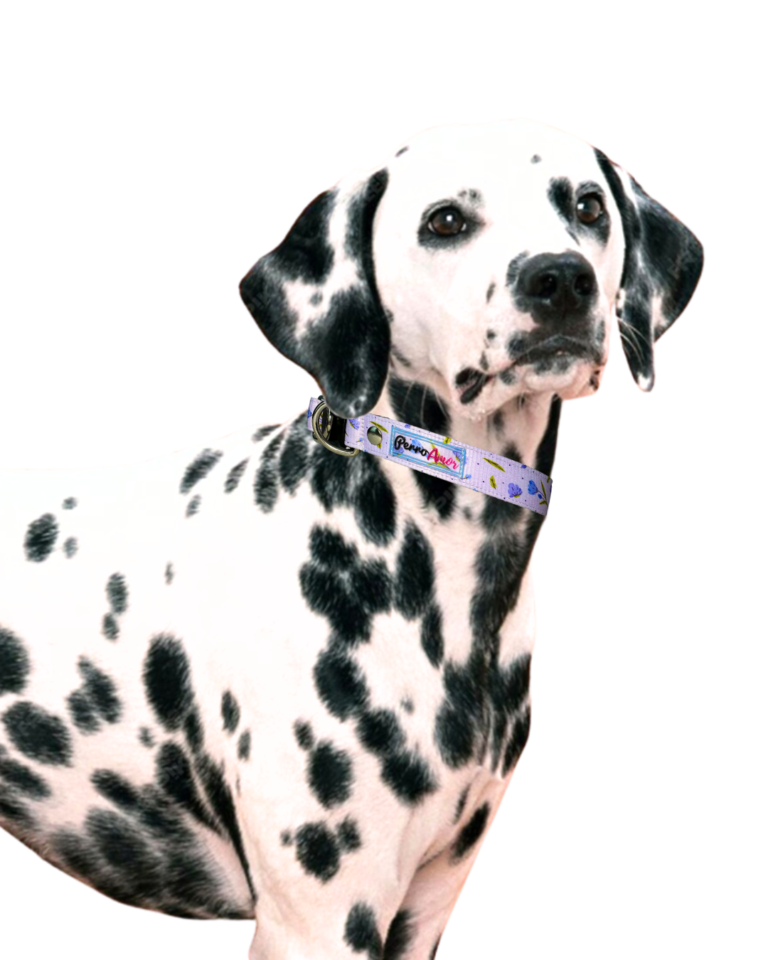 Collar Milagro " Lavanda "
