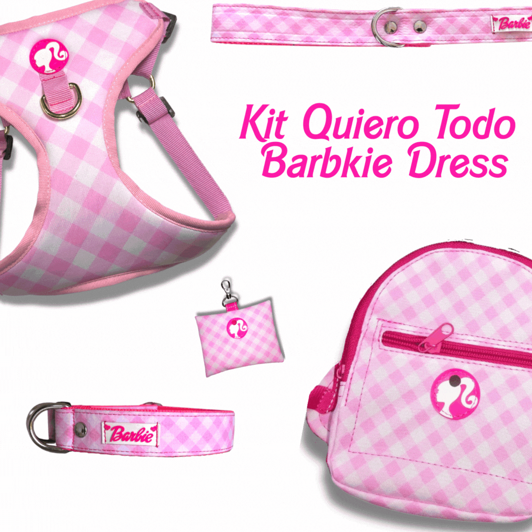 Kit Quiero Todo " Barbkie Dress "