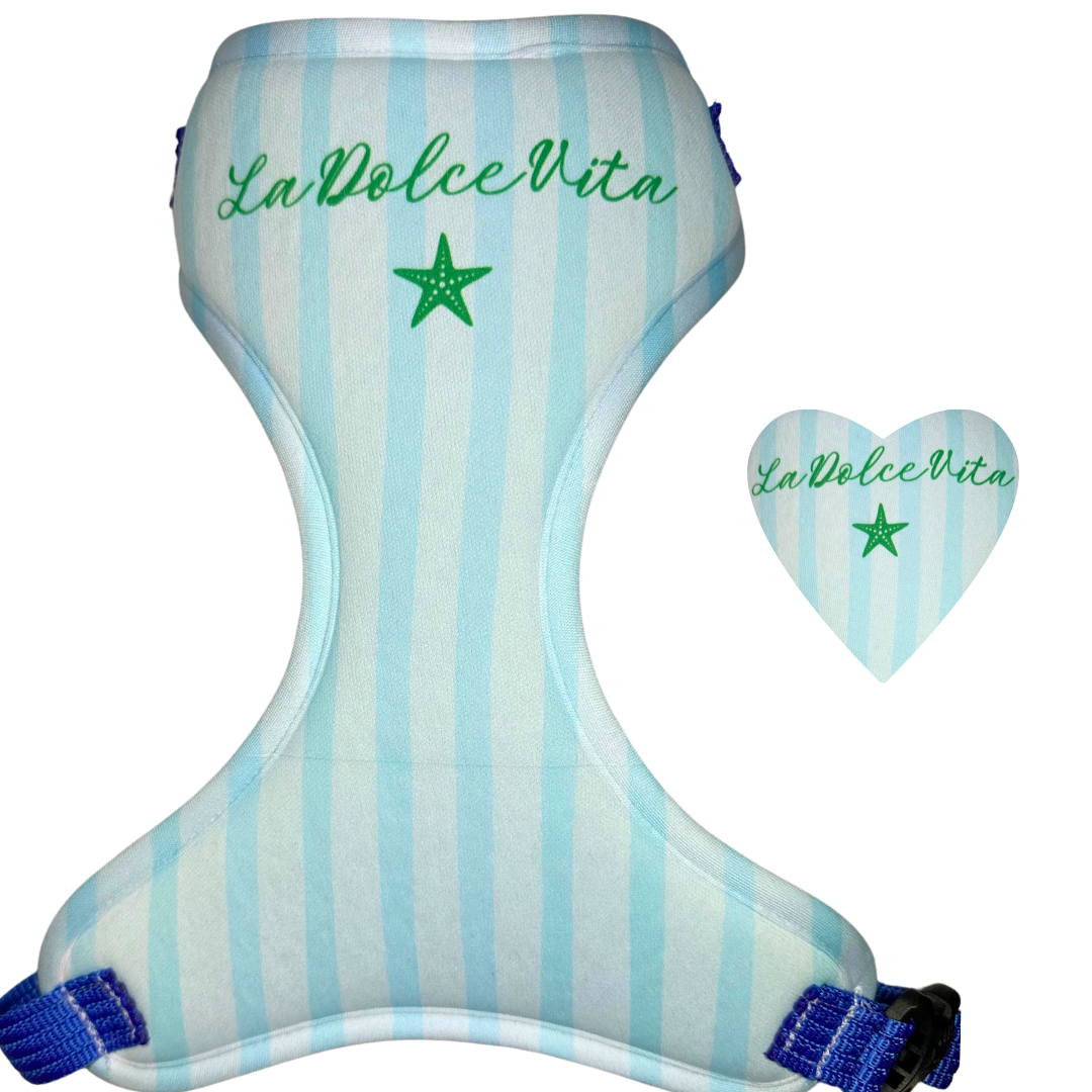 Pechera " Dolce Vita "