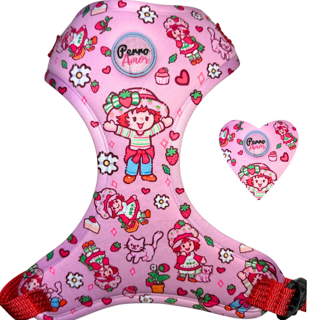 Pechera " Rosita "