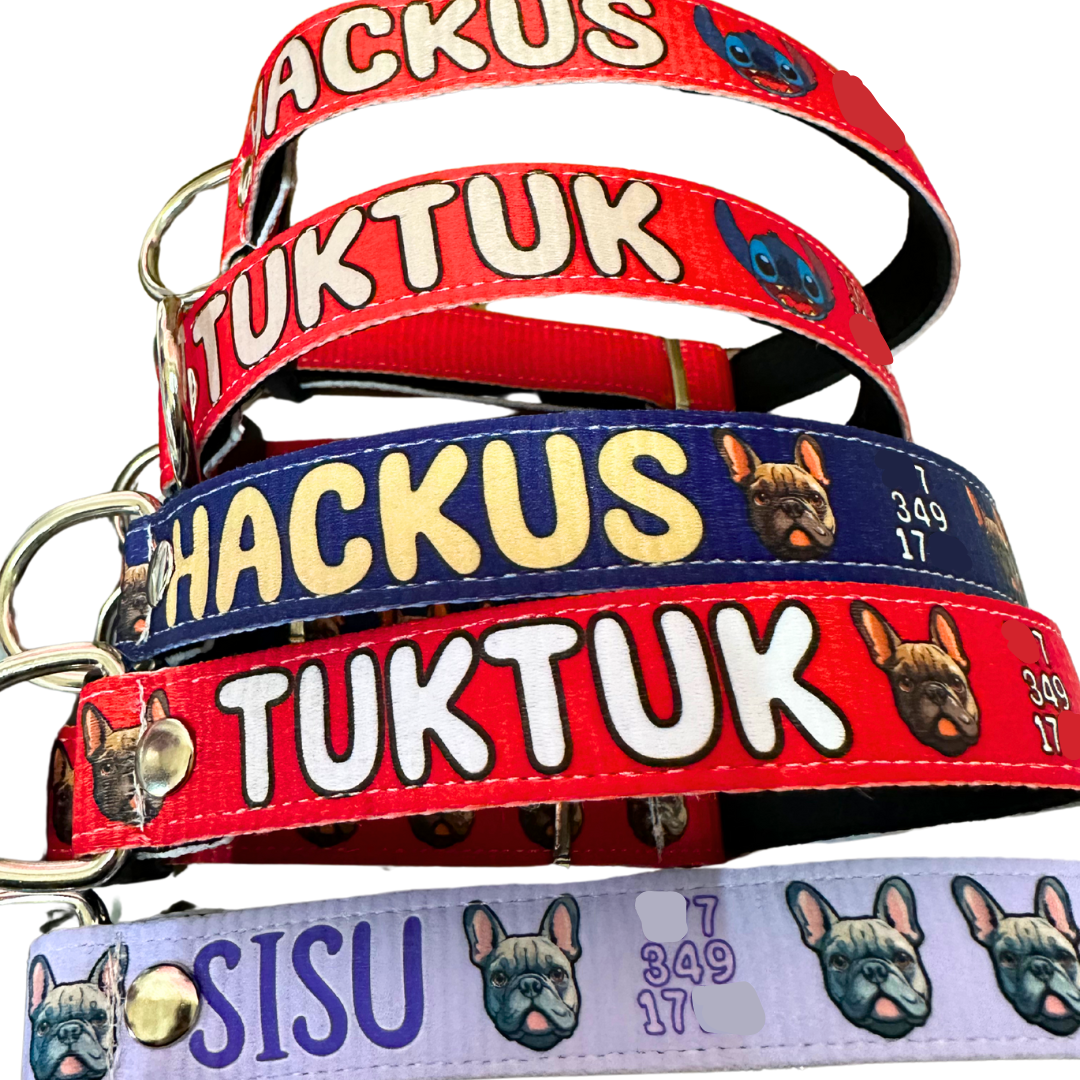 Collar Perronalizado