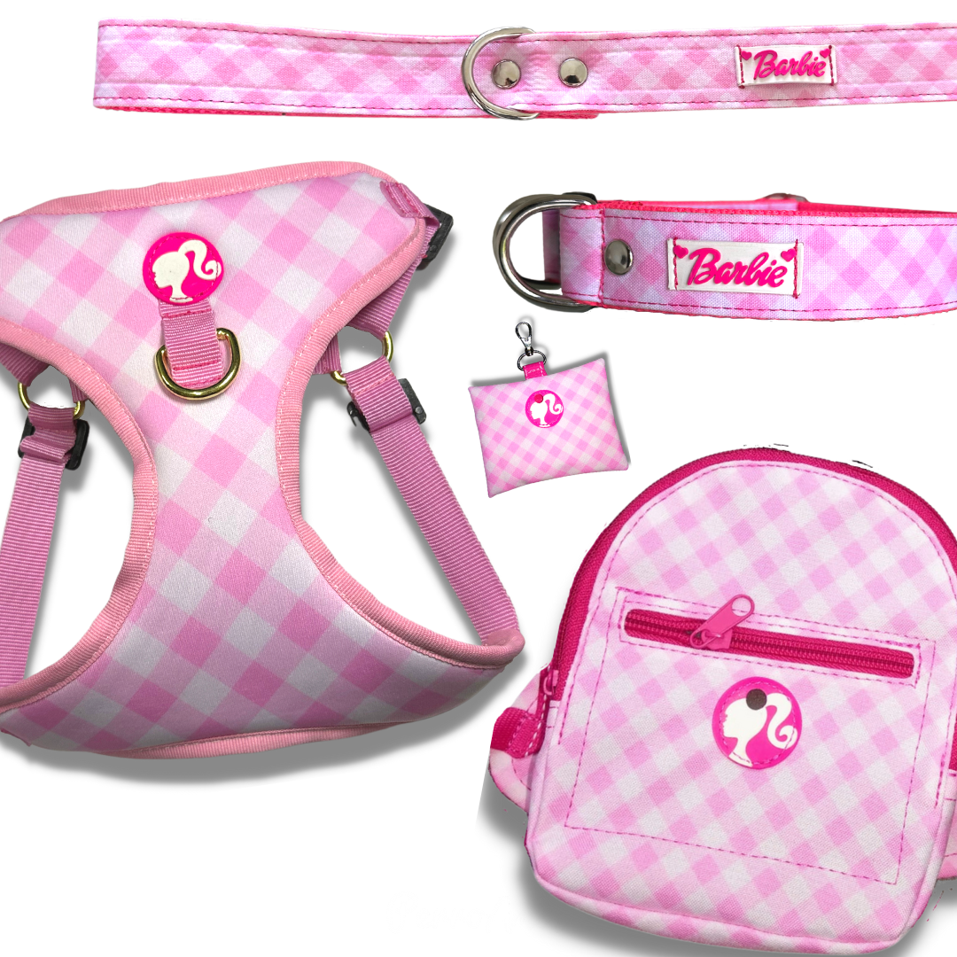 Kit Quiero Todo " Barbkie Dress "