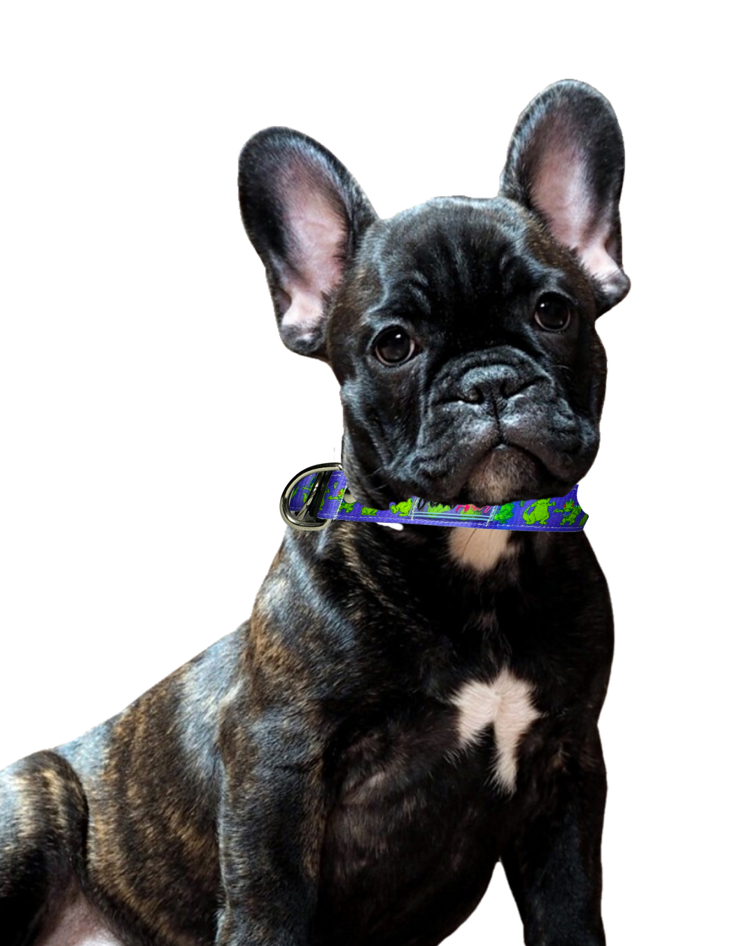 Collar Milagro " Repta "