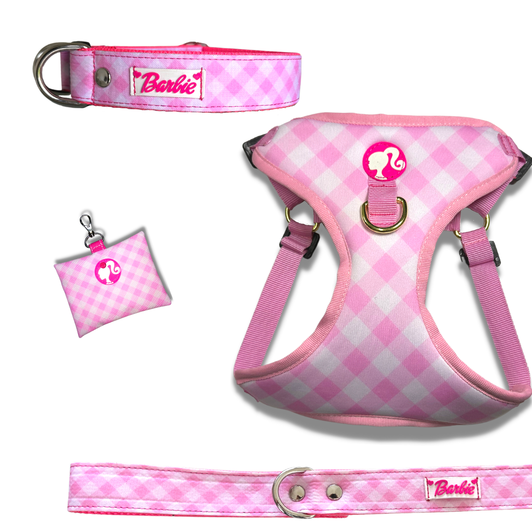 Kit Todo Mío " Barbkie Dress "