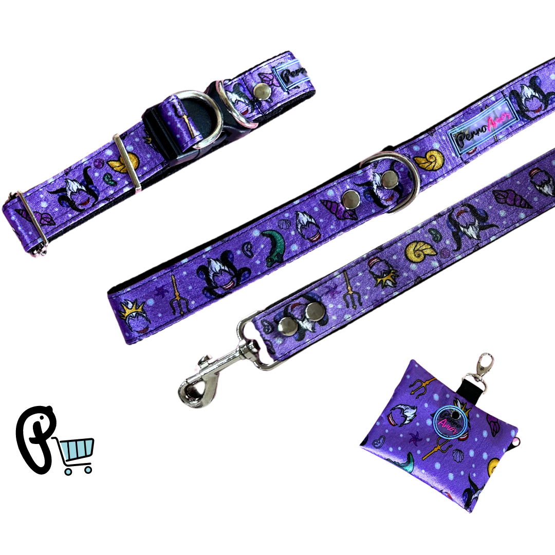 Combo Paseo " Ursula "