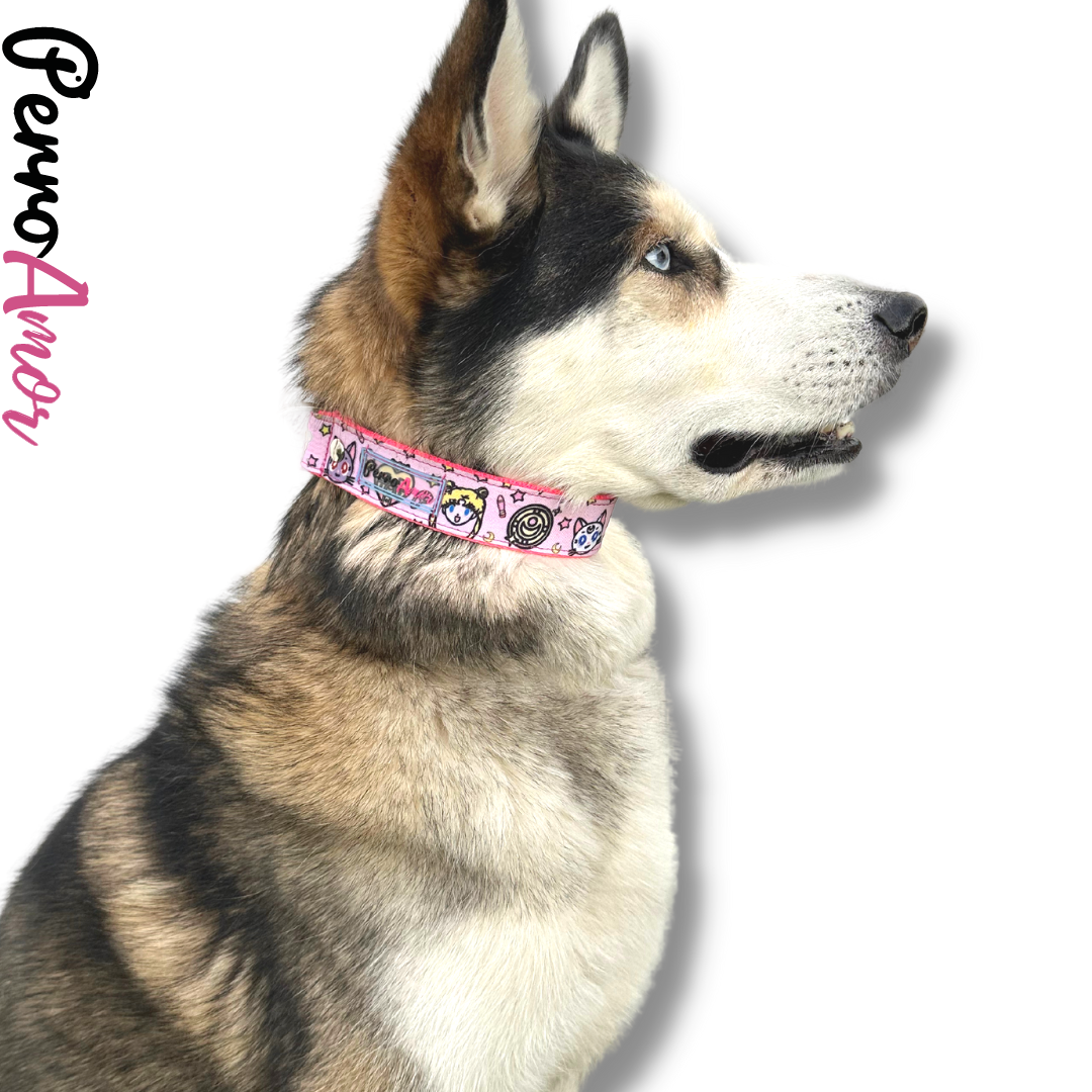 Collar Vida Mía " Sailor Woof "