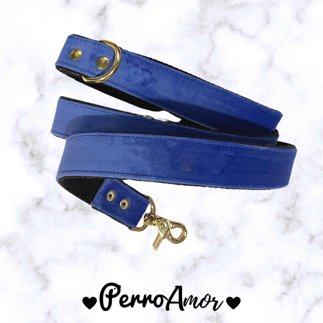 Correa Pata de Perro "Mar"