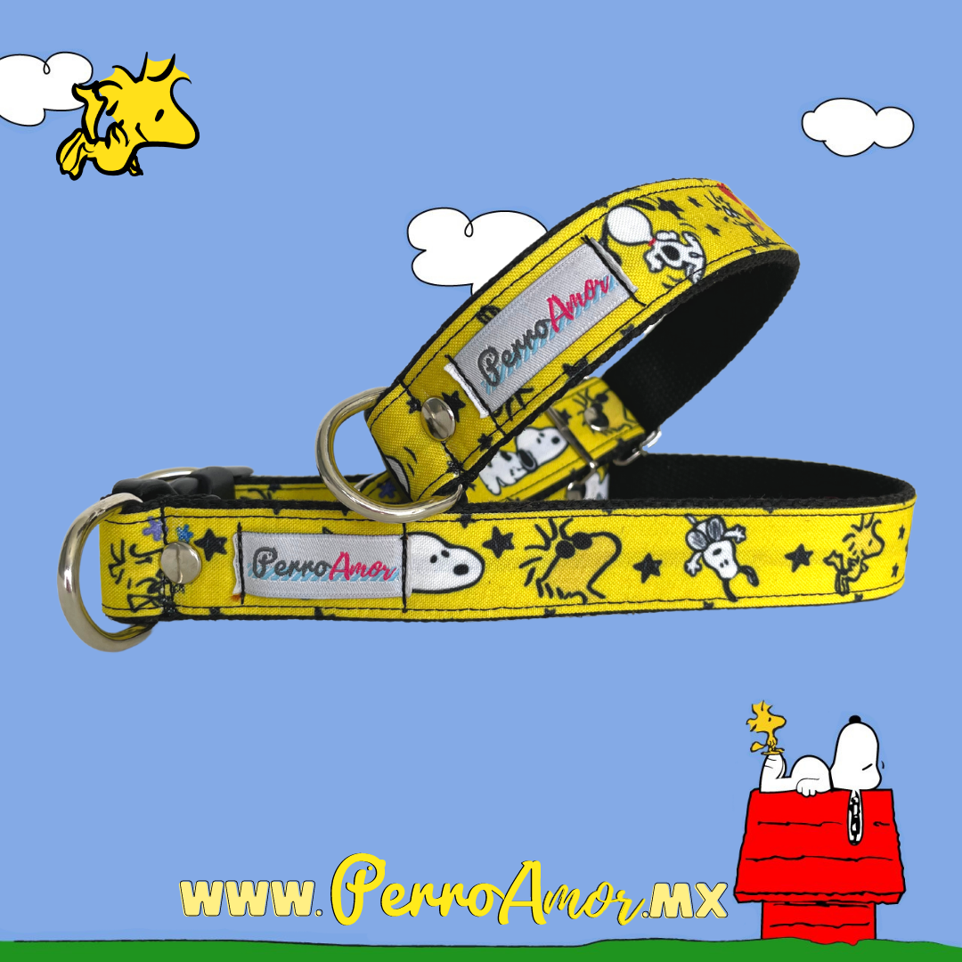 Kit Quiero Todo " Snoopaws "