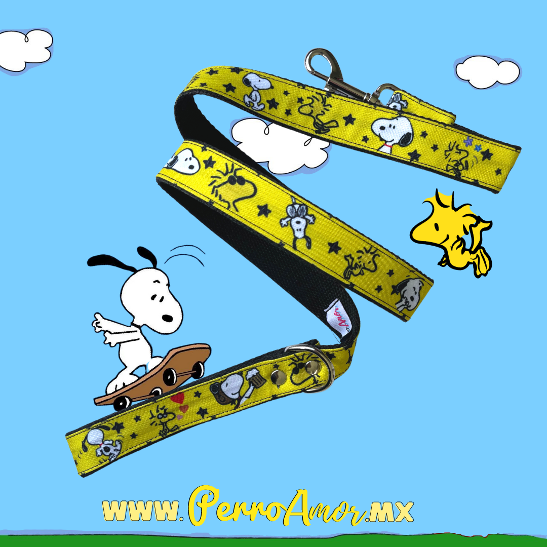 Kit Quiero Todo " Snoopaws "