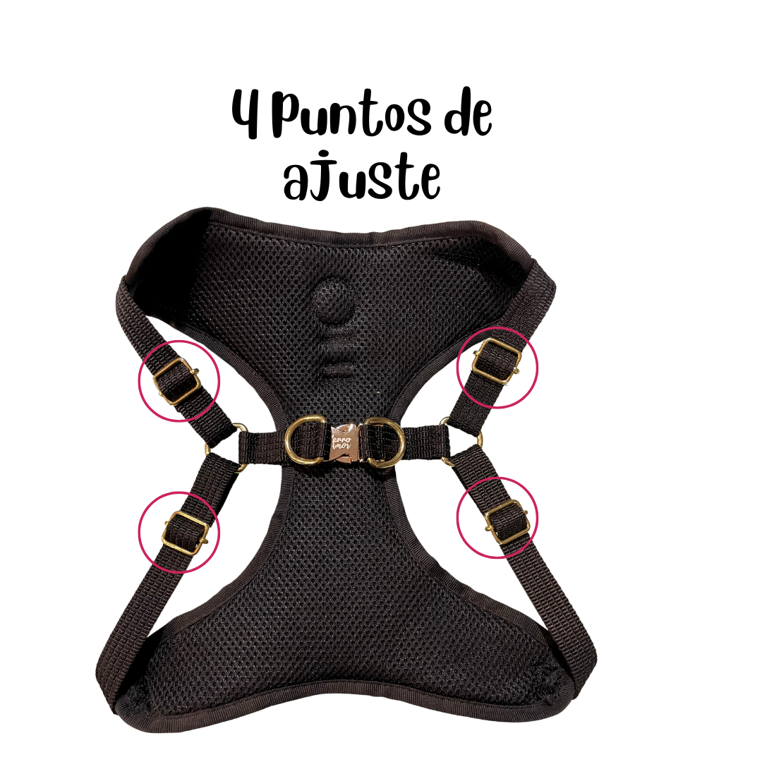 Pechera Gold "Marciano"