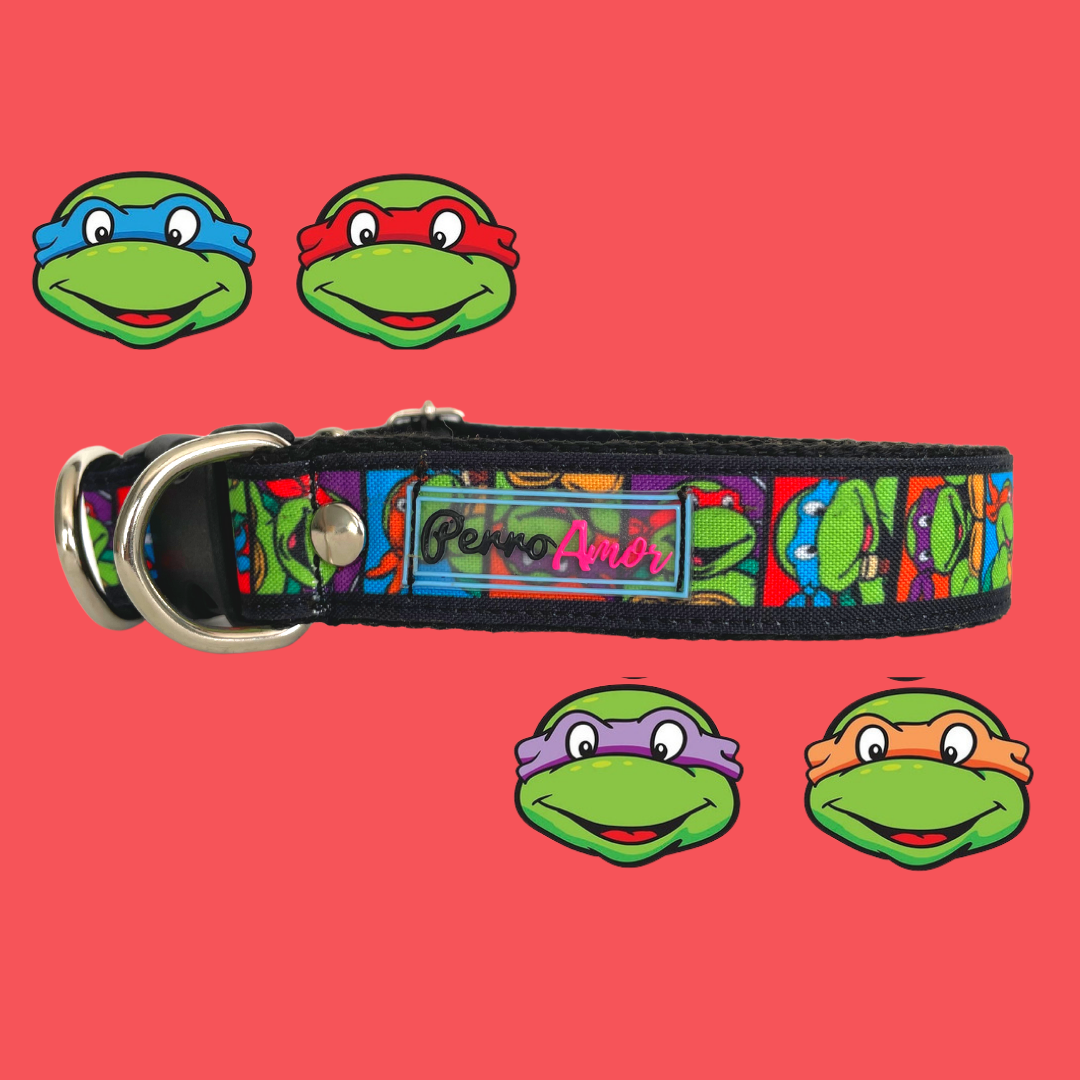 Kit Quiero Todo " Tortugas "