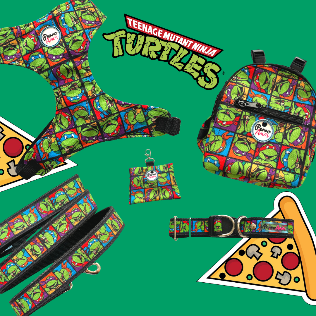 Kit Quiero Todo " Tortugas "
