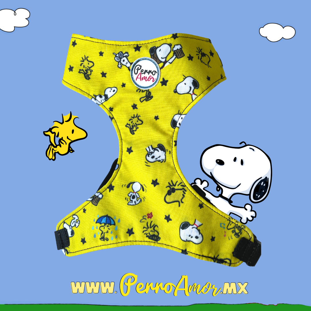 Kit Quiero Todo " Snoopaws "