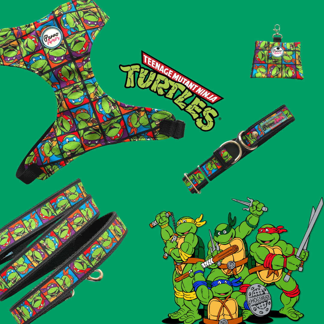 Kit Todo Mío " Tortugas "