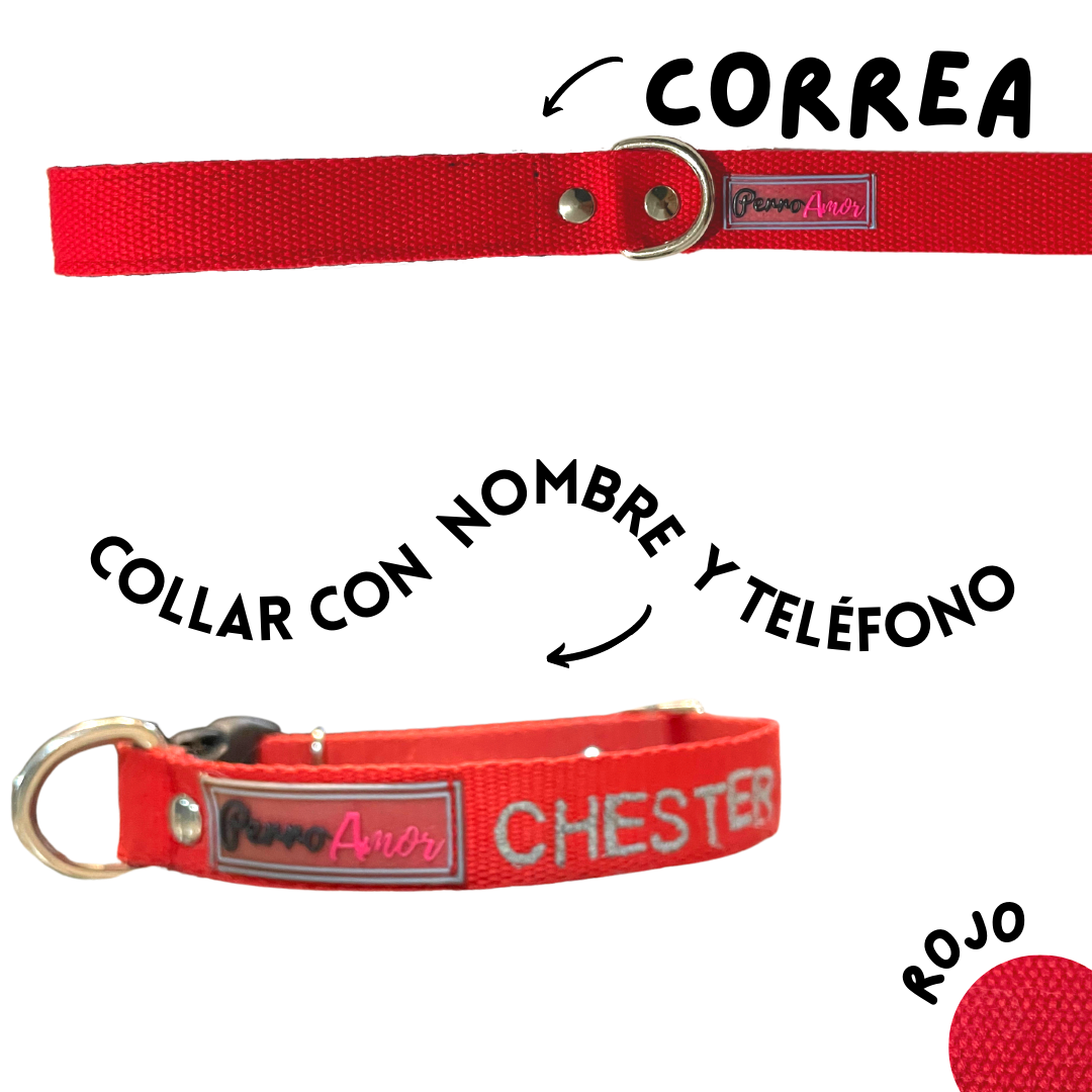 Collar Personalizado + Correa
