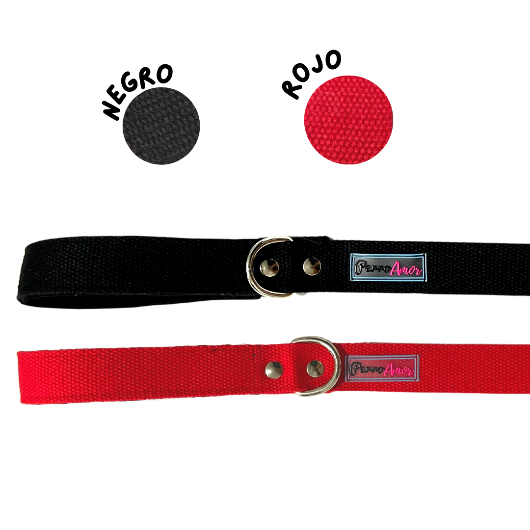 Collar Personalizado + Correa