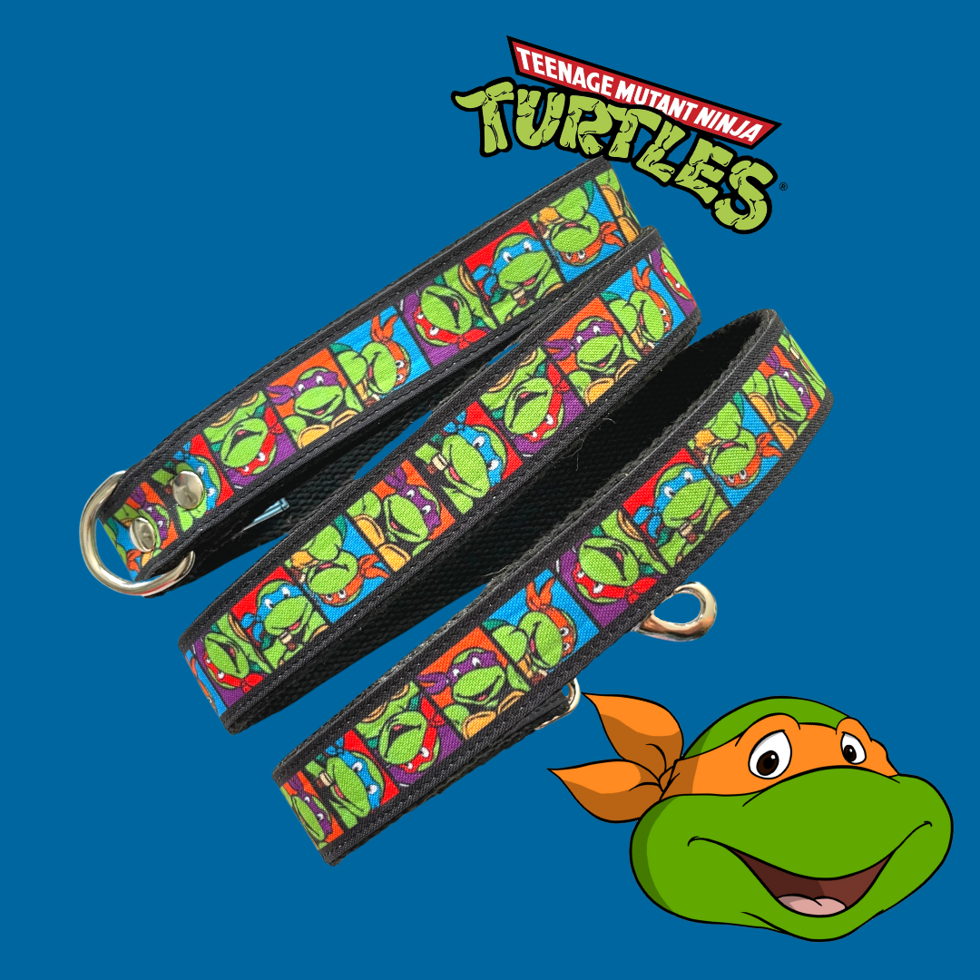Kit Quiero Todo " Tortugas "