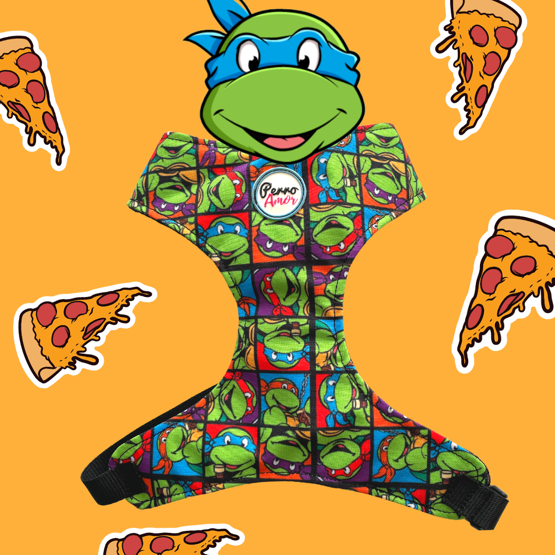 Kit Quiero Todo " Tortugas "