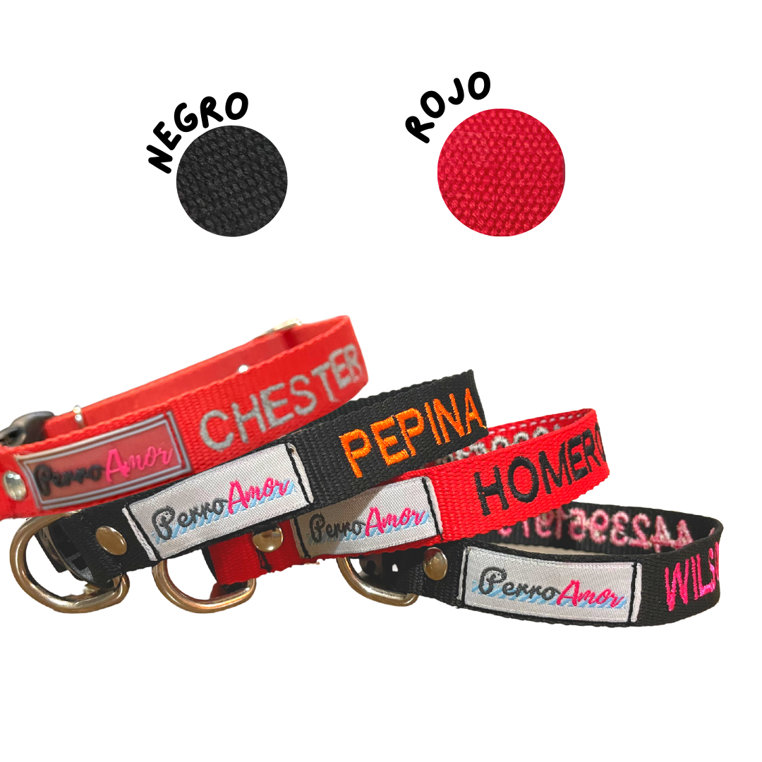 Collar Personalizado + Correa