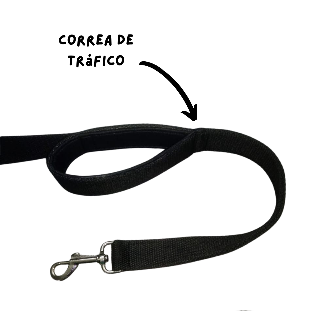 Correa Larga Caminandog