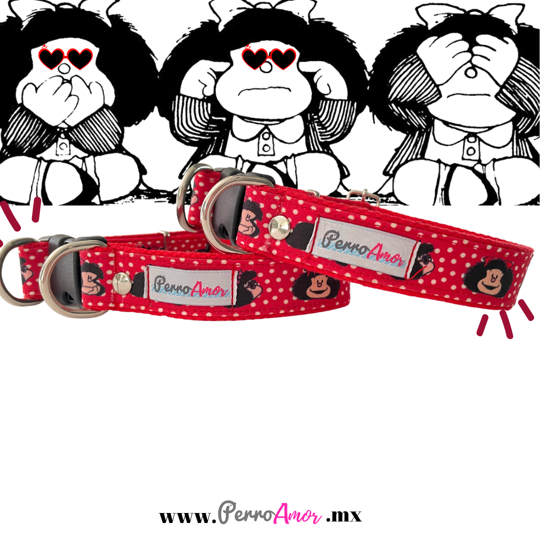 Kit Quiero Todo " Pawfalda "